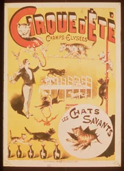 Affisch som annonserar Cirque d